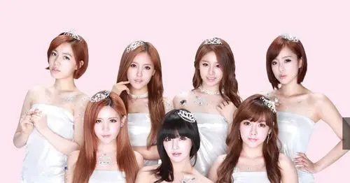 tara这些人叫什么