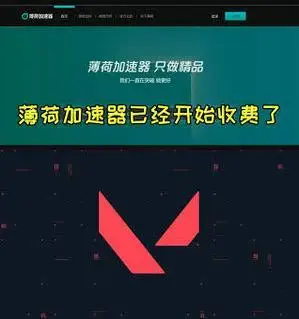 旋风加速器官网下载地址