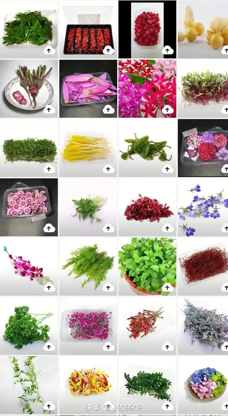 摆盘花草 #摆盘教程 #盘饰 #摆盘技巧 #摆盘 酒店摆盘 - 抖音