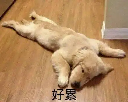 萌宠汪星人好累累趴了可爱憨憨gif动图_动态图_表情包下载_soogif