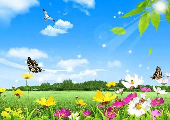 xt14242现代草地向阳花蝴蝶鲜花绿叶阳光蓝天美式田园