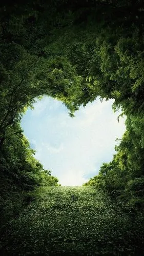 六图网提供精美好看的背景 素材模板下载,本次背景 作品主题是 唯美