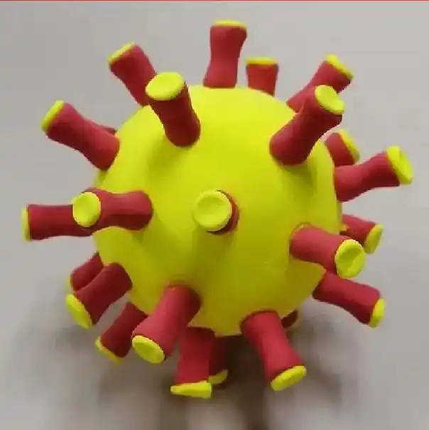 初二生物实践作业之病毒模型#手工diy #新型冠状病毒 #细 - 抖音