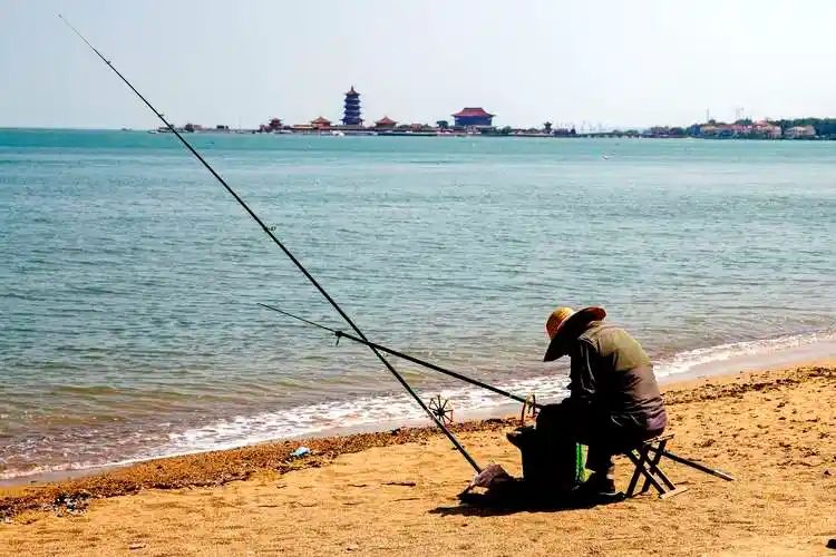 蓬莱海边钓鱼人的天堂