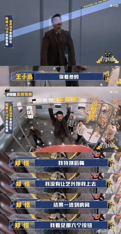 张艺兴把郑恺举高高##郑恺对张艺兴说抱我##盒子里的猫