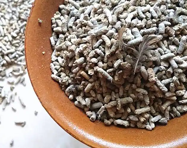 养麻雀不为卖肉,而是盯上了它的粪便?麻雀屎到底有何妙用?