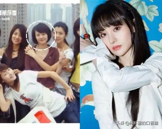 明星出道前对比3:郑爽