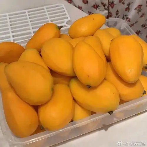 夏天芒果的真实用途