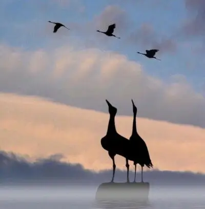 全民k歌背景相片