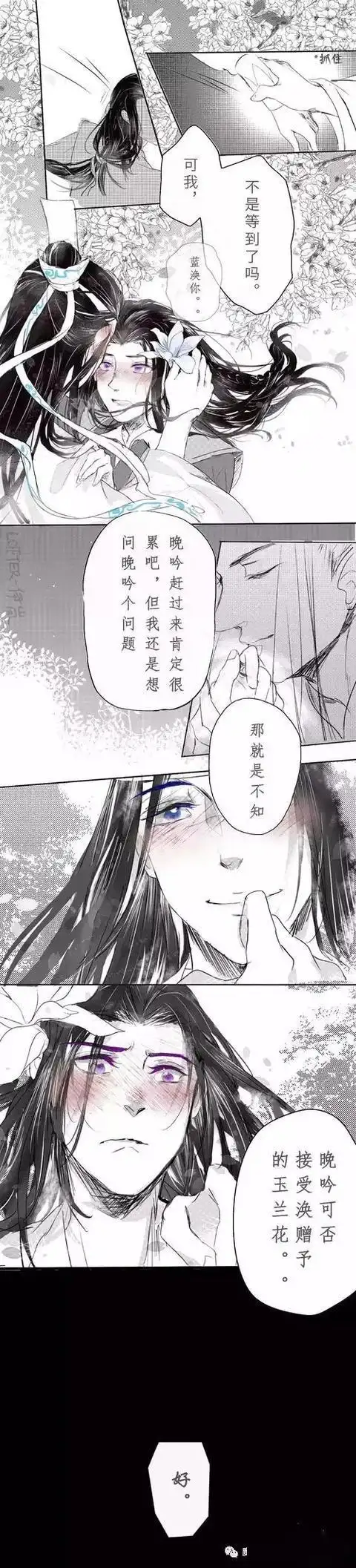 魔道祖师曦澄赠君一支玉兰花倾君无悔永相随