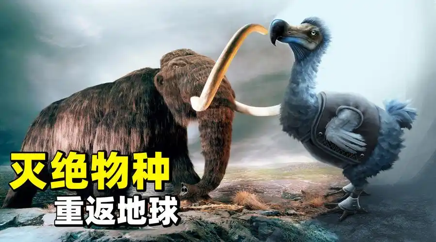 1148次播放4:06后天的哥斯拉2020-9-25来自 微博视频号#灭绝##电影