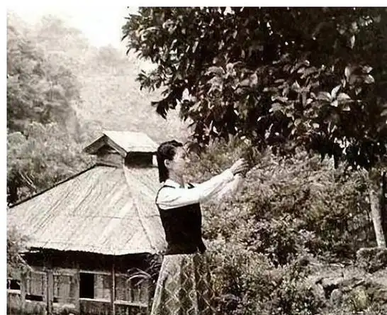 让张学良痴迷的赵四小姐究竟有多美?看完这些老照片,你就明白了