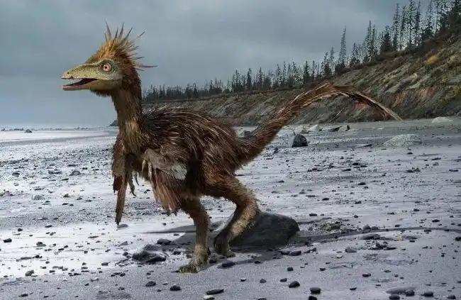 伤齿龙是一种类似鸟类的小型恐龙,它们的遗体在阿拉斯加,怀俄明,甚至
