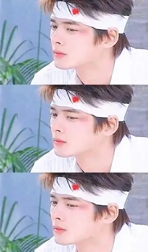 郭品超年轻时候也是撕漫男,漫画美男车银圣都长得像他!