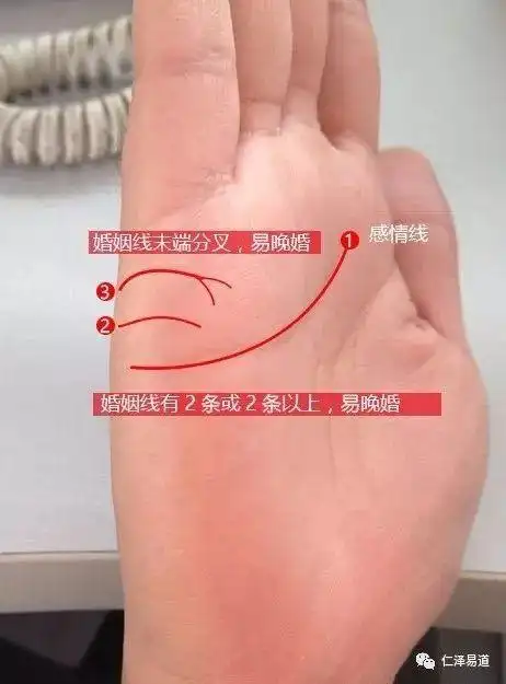 从手掌婚姻线看你是不是一见钟情,英年早婚的人