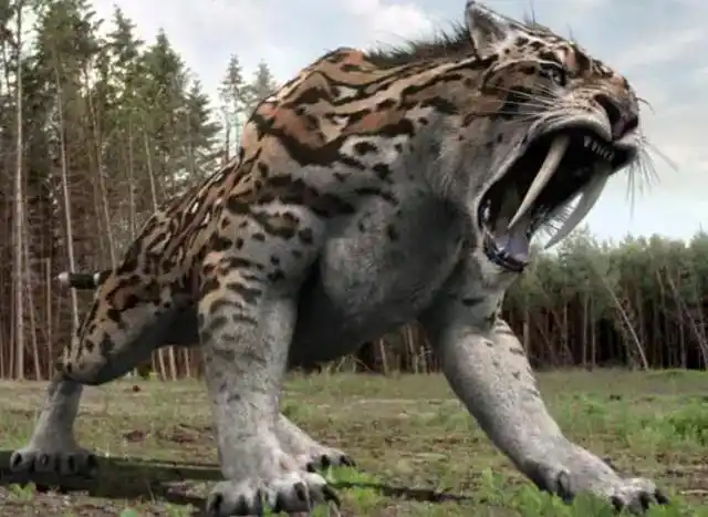 冰河世纪中最可怕的陆生动物剑齿虎