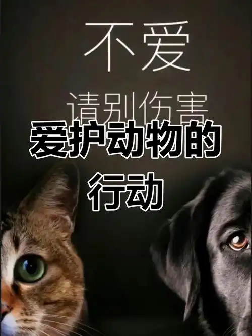 关爱动物,从我做起