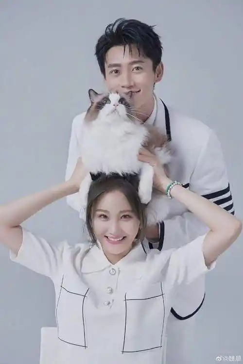 魏晨与素人女友将举办婚礼苦恋13年终成眷属