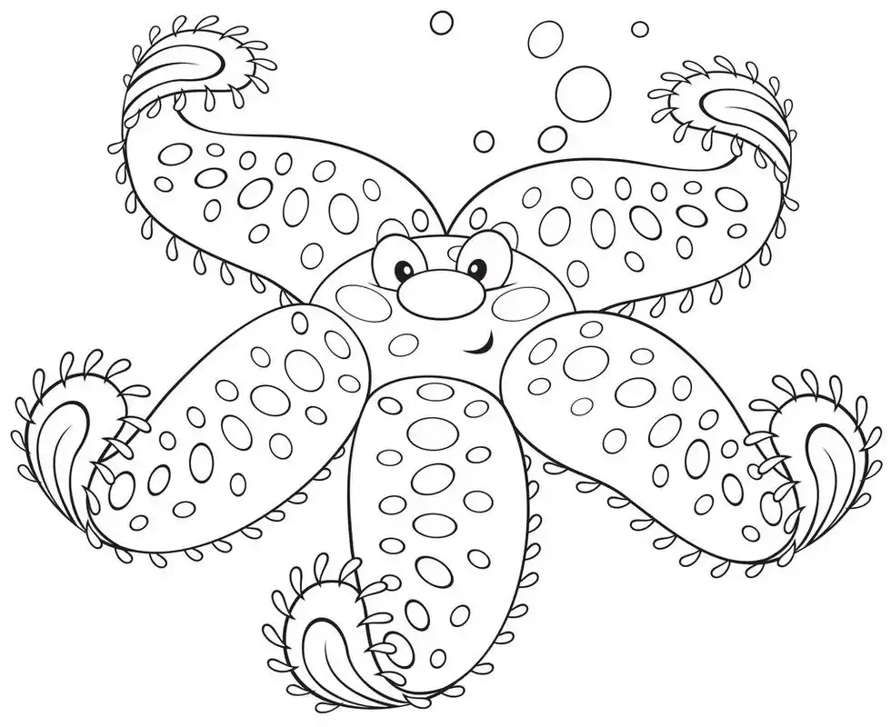 海星,有趣的海洋之星,黑色和白色轮廓矢量图的着色书