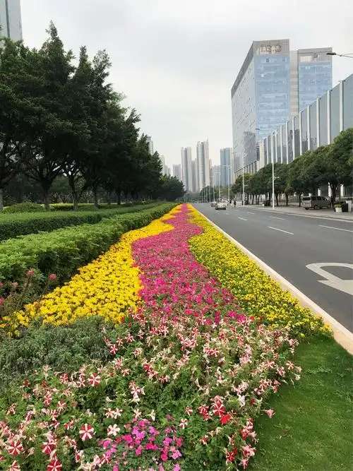 绿化景观带由草坪,花带,灌木和乔木组成,层次分明,色彩绚丽,美不胜收