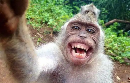 一张图片笑死10亿人蒙娜丽莎也开始抽烟了