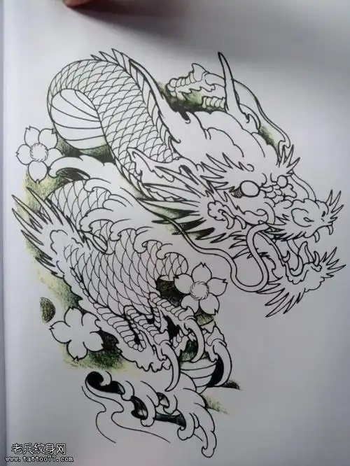 经典的披肩龙纹身图案