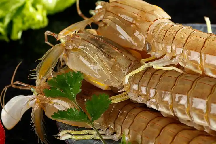 鲜活皮皮虾丨潍坊生鲜电商客户约拍丨飞鸟电商陈默|摄影|产品摄影