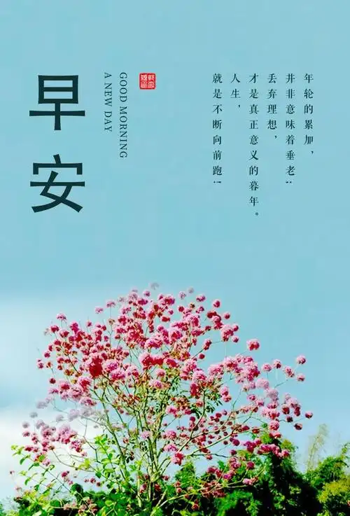 早安语激励人心的好句子,简单又美好,满满的好心情!