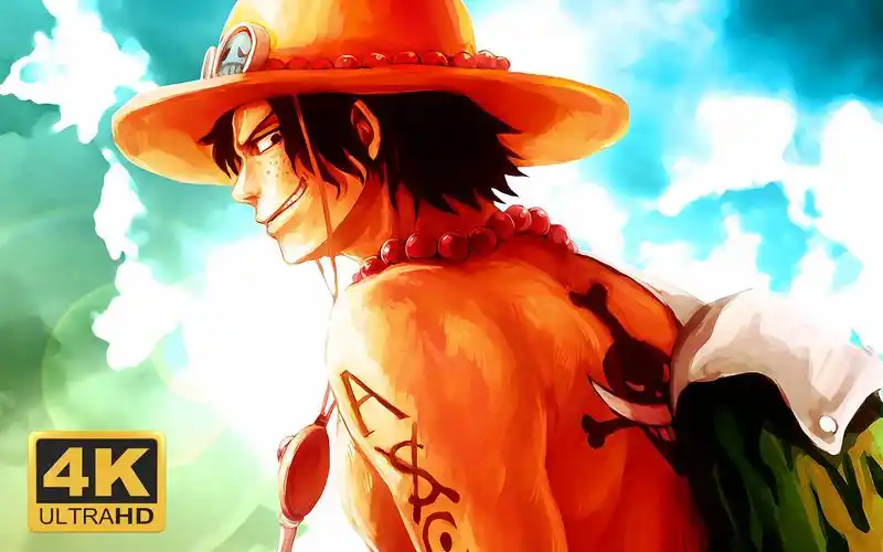 【4k/中日歌词】海贼王 one piece op14『fight together』