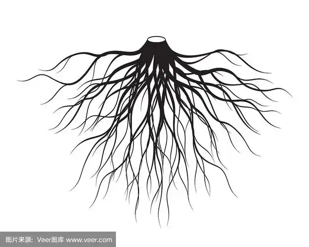 黑根树.矢量插图.