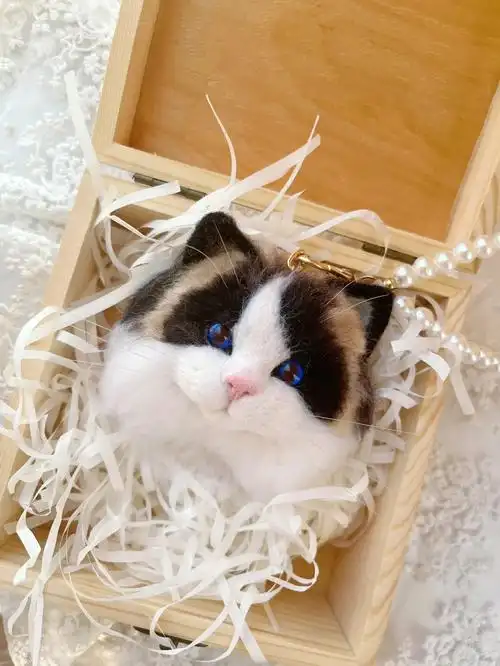 羊毛毡猫咪定制