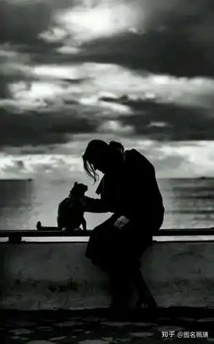 有哪些黑色系壁纸?