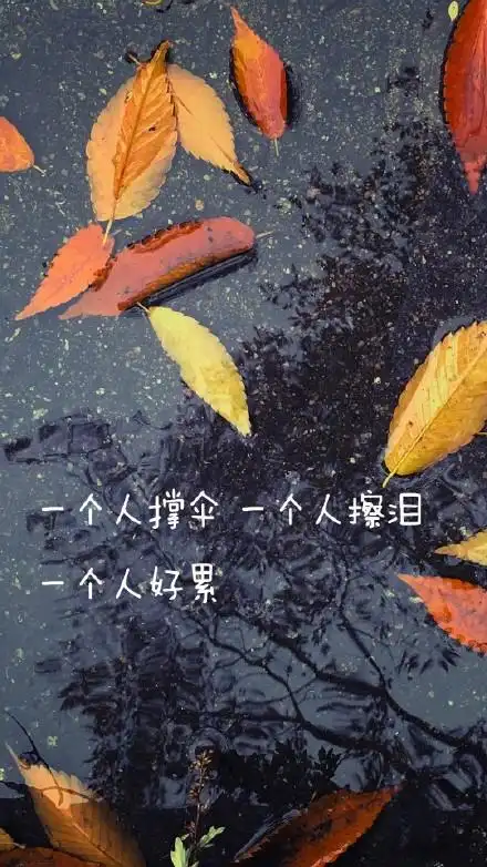 下雨天手机壁纸图片带字的伤感下雨天图片大全