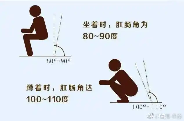 上厕所的正确姿势哪一种更有利于排便