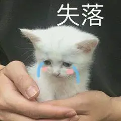 萌宠gif猫星人gif失落gif委屈gif难受gif想哭gif