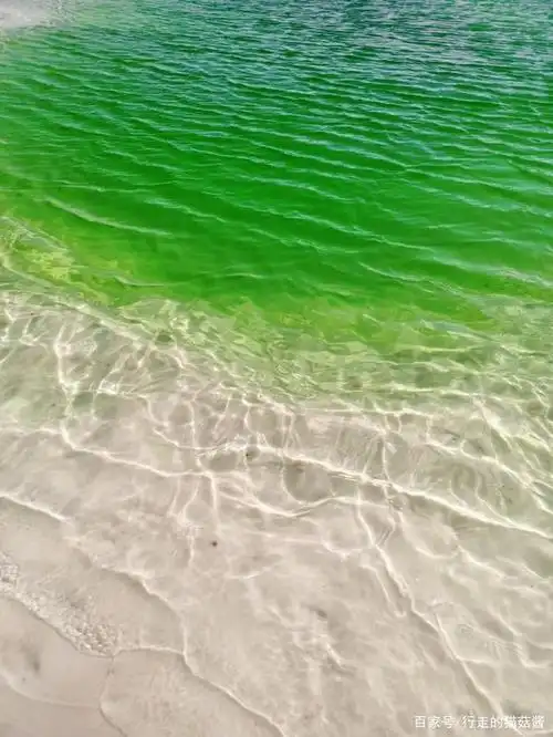 大柴旦翡翠湖有蓝色的,也有碧绿色的,每个湖的颜色都不一样,但是都