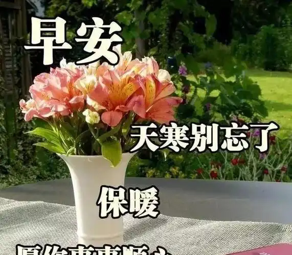 早上好唯美问候语早安最美图片大全