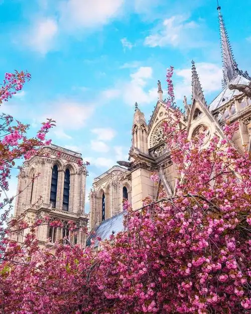 浪漫之都法国巴黎景色0606