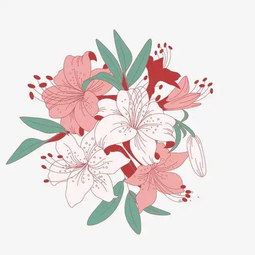 红粉色花瓣绽放的杜鹃花瓣矢量