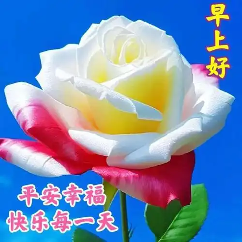 清新满心间;匆匆洗个脸,信心一整天;出门见个喜,处处道早安:晨起快乐!