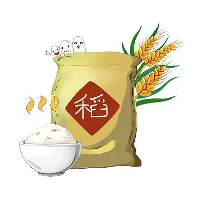 粮食元素手绘卡通端午节包粽子元素原创插画海报手绘大米粮食主食糯米