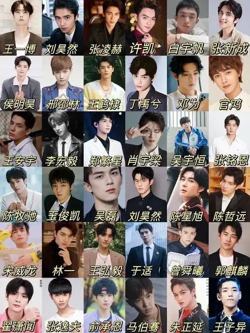 95—99颜值&作品在线男明星❤️你最喜欢哪位⁉️