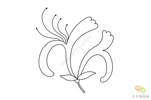 金银花简笔画金银花简笔画图片