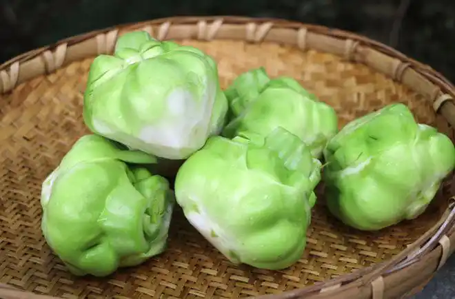 青菜头|泡菜|腌菜|乌江_网易新闻