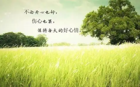 关于夏天心情好的诗句描写夏天的好诗