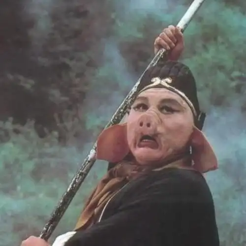 西游记两个猪八戒为什么马德华讨喜而另一个却无人问津