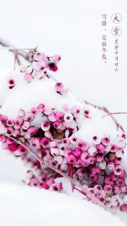 唯美古风二十四节气之大雪