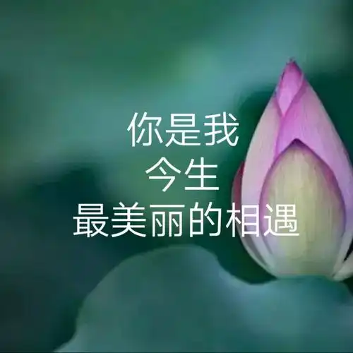 你是我今生最美丽的相遇