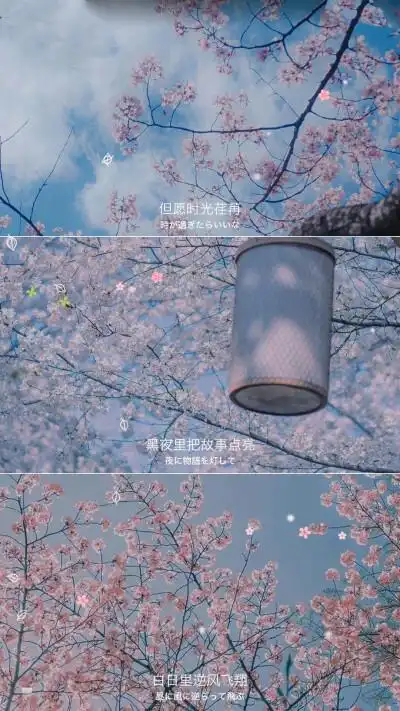 壁纸 文字 三屏你喜欢的我都有