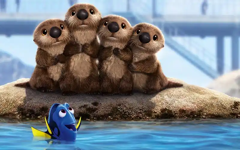 海底总动员2,可爱的海狸 壁纸 - 2560x1600